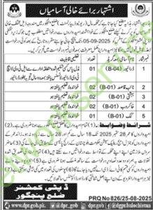 Deputy Commissioner Panjgor New Jobs 2025 for Revenue Department