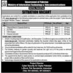 Ministry Of Information Technology & Telecommunications Digital Pakistan Situation Vacant