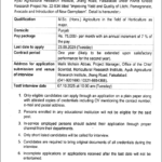 Horticultural Research Institute, Ayub Agricultural Research Institute Faisalabad Jobs 2025