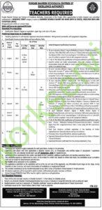 Punjab Danish Schools and Centres of Excellence Authority Jobs 2025 for Teachers