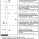 Punjab Danish Schools and Centres of Excellence Authority Jobs 2025 for Teachers