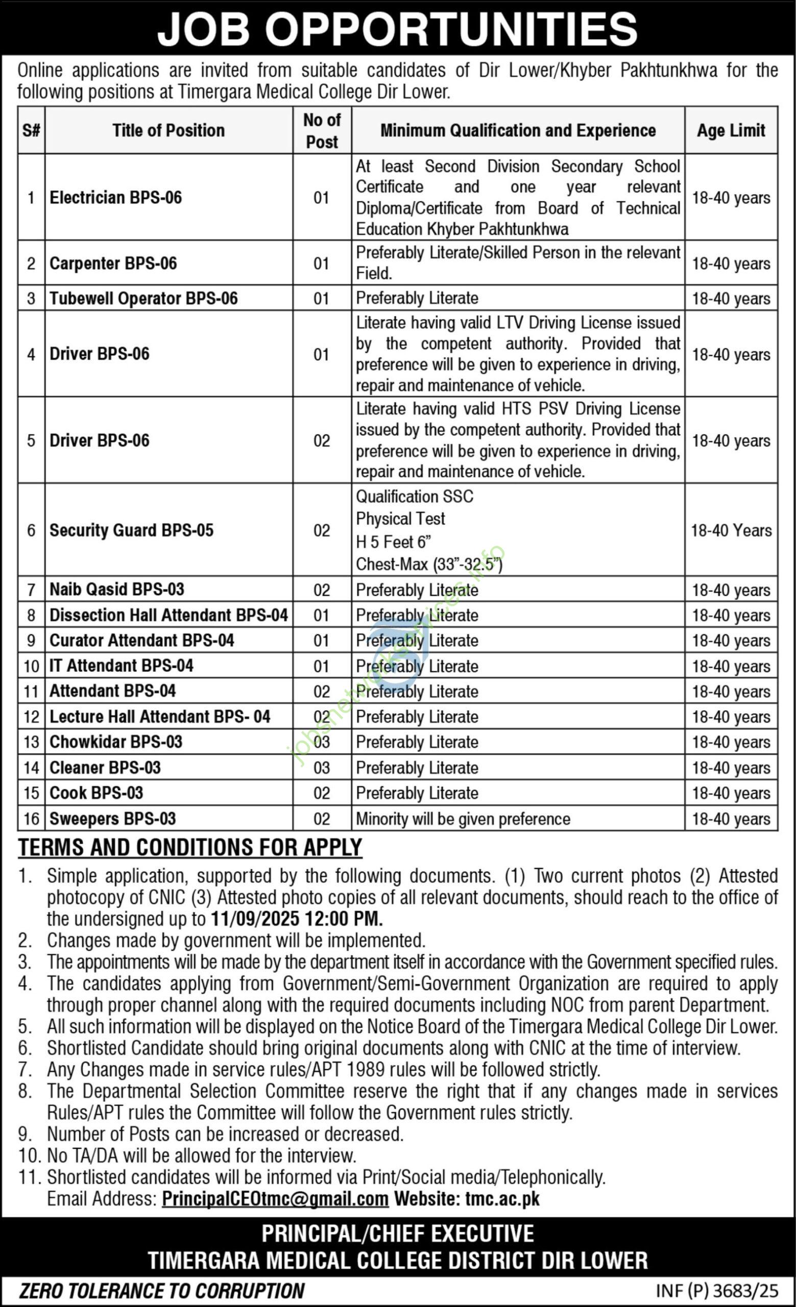 Timergara Medical College Dir Lower Jobs 2025