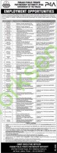 Punjab Public Private Partnership Authority (P4A) Government Of The Punjab Employment Opportunities