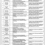 Punjab Public Private Partnership Authority (P4A) Government Of The Punjab Employment Opportunities
