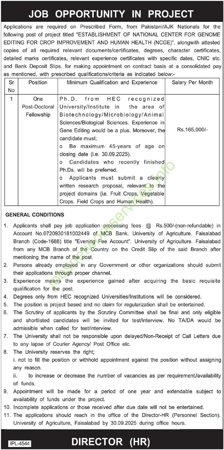 National Center for Genome Editing NCGE Faisalabad Jobs 2025