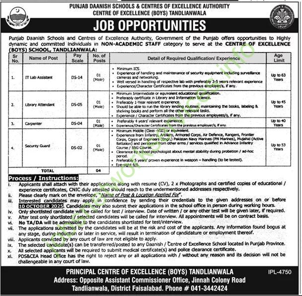 Punjab Daanish School Tandliawala Faisalabad New Jobs 2025