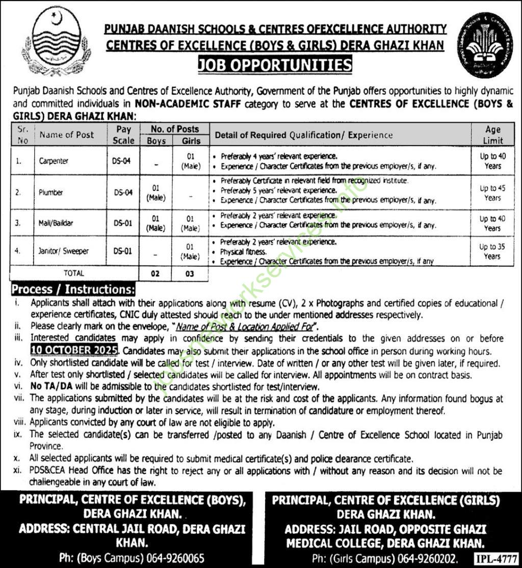 Punjab Daanish Schools Dera Ghazi Khan Jobs 2025