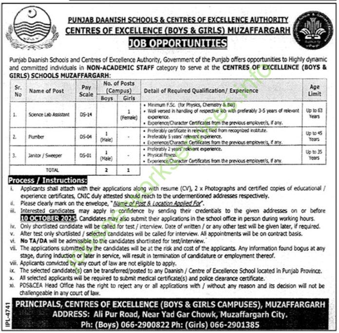 Punjab Daanish Schools Muzaffargarh Jobs 2025