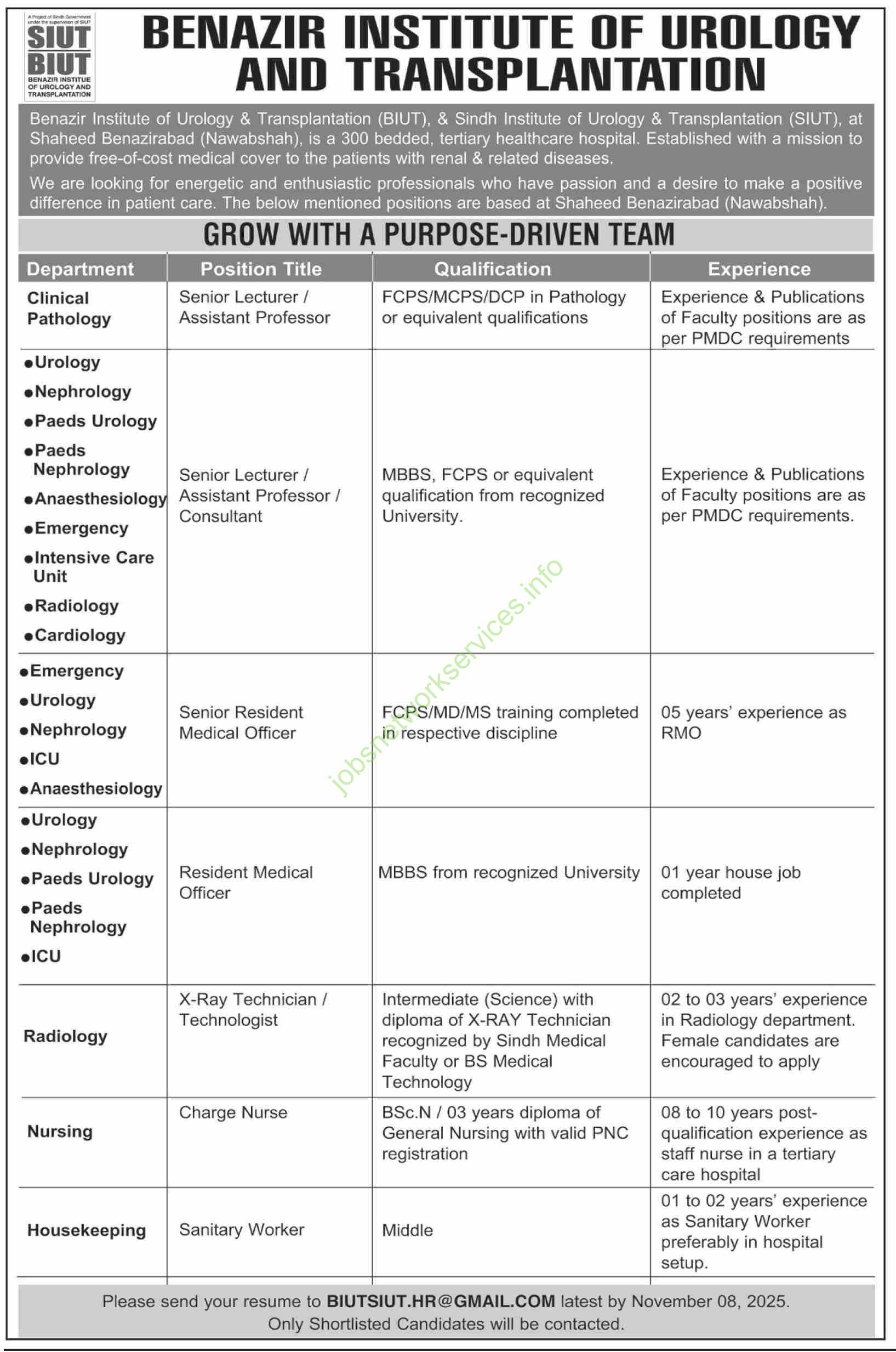 Benazir Institute of Urology and Transplantation Sindh Jobs 2025 Latest