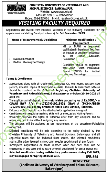 Cholistan University of Veterinary and Animal Sciences Bahawalpur Jobs 2025 Latest CUVAS Jobs