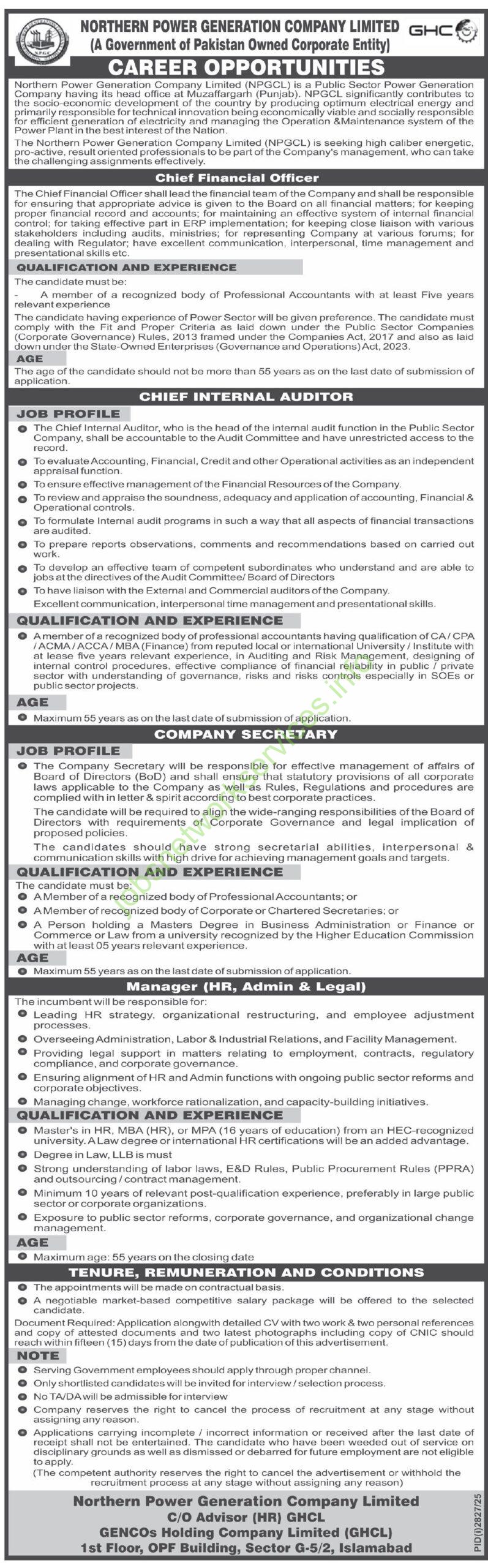 Northern Power Generation Company Limited NPGCL Jobs 2025