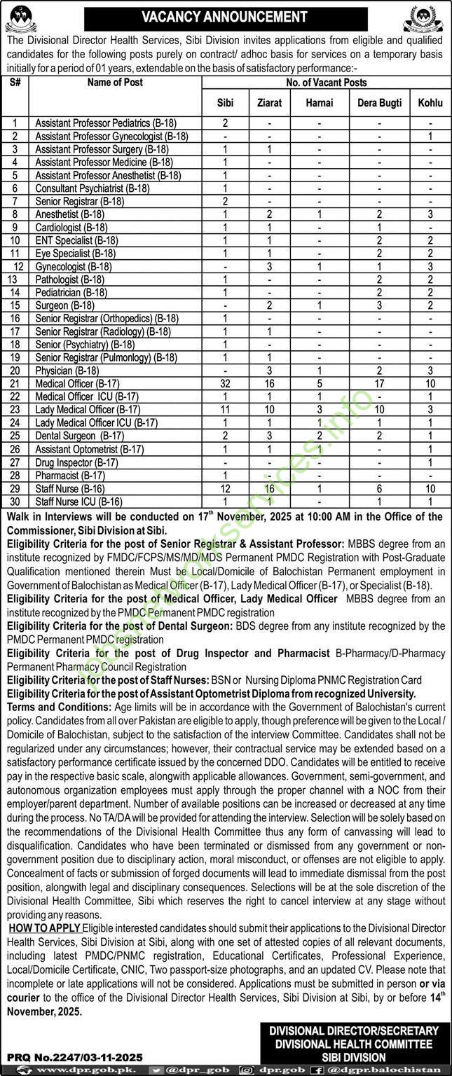 Health Department Balochistan Sibi Jobs 2025 Latest