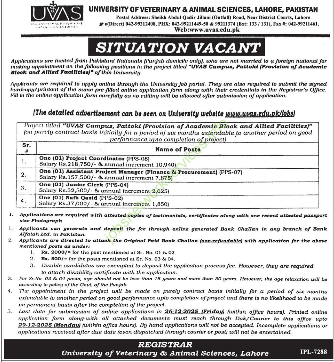 University of Veterinary & Animal Sciences CUVAS Jobs December 2025 Latest