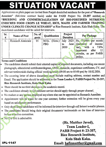 Rice Research Institute Kala shah Kaku Jobs 2026 Latest