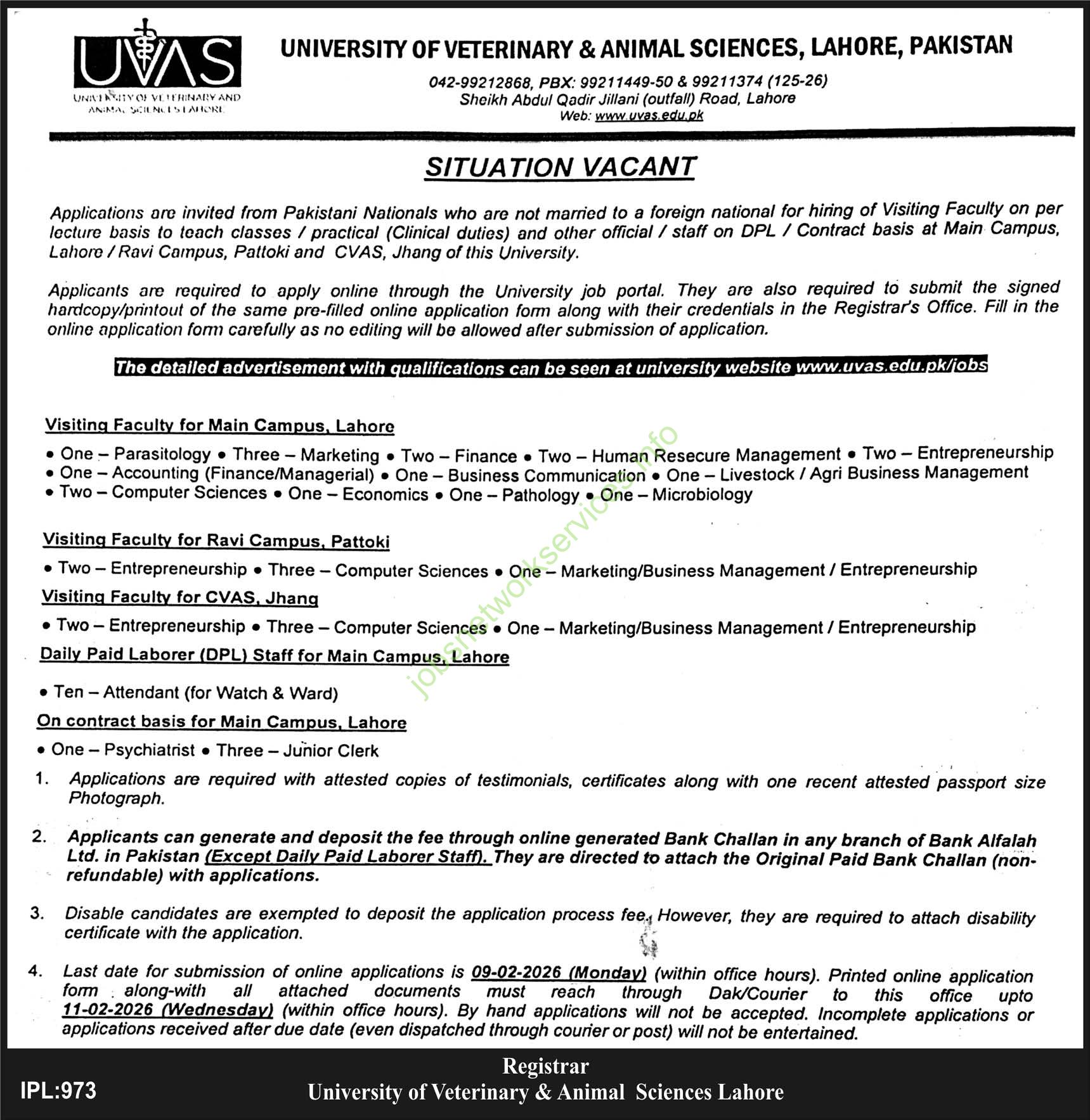 University of Veterinary & Animal Sciences Lahore Jobs 2026 Latest
